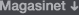 Magasinet